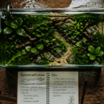 Aquarium petit poisson nano-aquarium miniature avec poissons