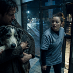 veterinaire de garde boulogne sur mer chien blessé