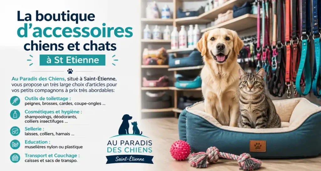 La boutique d&rsquo;accessoires chiens et chats à St Etienne
