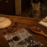 Aliments toxiques pour les chats : chocolat, raisin, ail et oignon dangereux