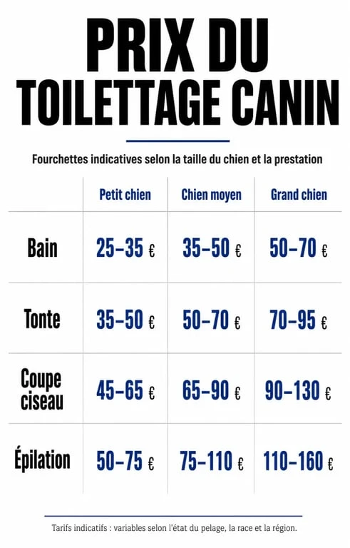 Tableau récapitulatif des tarifs moyens de toilettage pour chien selon la taille et la prestation