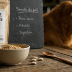Levure de biere chien : poudre et comprimés pour chien