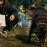 Nom de chien stylé : Nox, au parc au crépuscule, appel clair