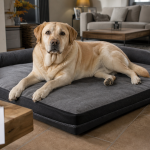 Panier chien XXL orthopédique : grand chien au repos, protège articulations