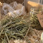 Foin pour hamster : brins pour le nid, pas pour la gamelle